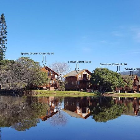 Pirates Creek Self-Catering Chalets วิลเดอร์เนส ภายนอก รูปภาพ